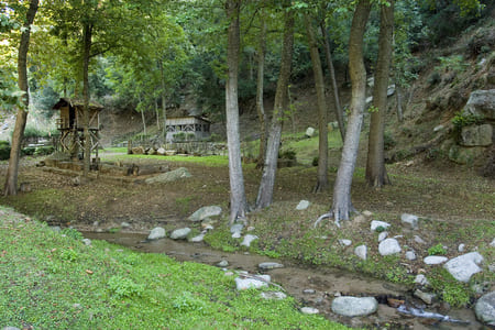 casa rural El Moli de Can Aulet Jardin001