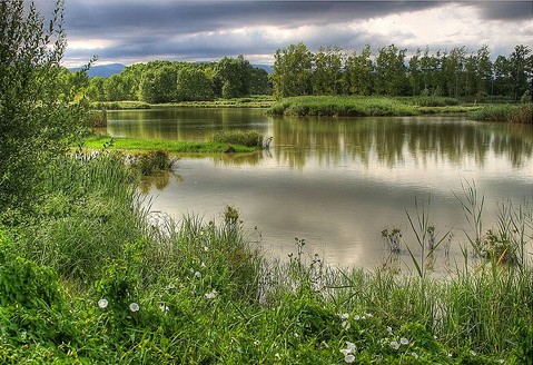 pluges-estany-sils-girona